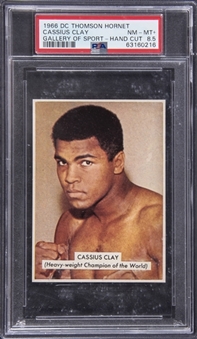 1966 DC Thomson Hornet "Gallery Of Sport"  Cassius Clay (Muhammad Ali), Hand Cut – PSA NM-MT+ 8.5 "1 of 1!"